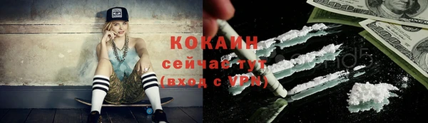 прущие грибы Богородск