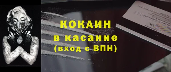 прущие грибы Богородск