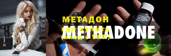 прущие грибы Богородск