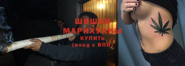 винт Богородицк