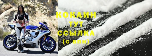 прущие грибы Богородск
